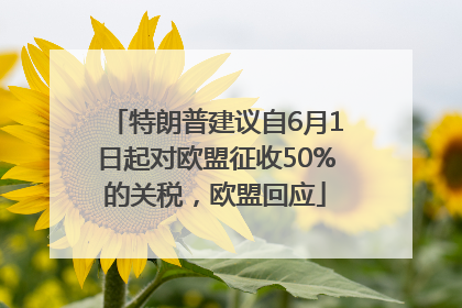 特朗普建议自6月1日起对欧盟征收50%的关税，欧盟回应